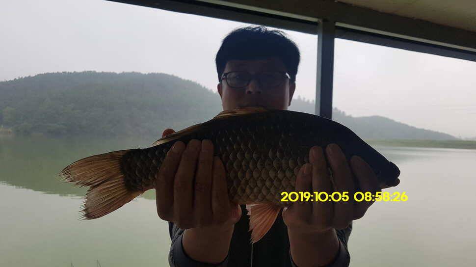 용인 신원낚시터 토종대물48짜리 구경하고 가시겠습니다 (유료터정보 - 유료터점주조황)