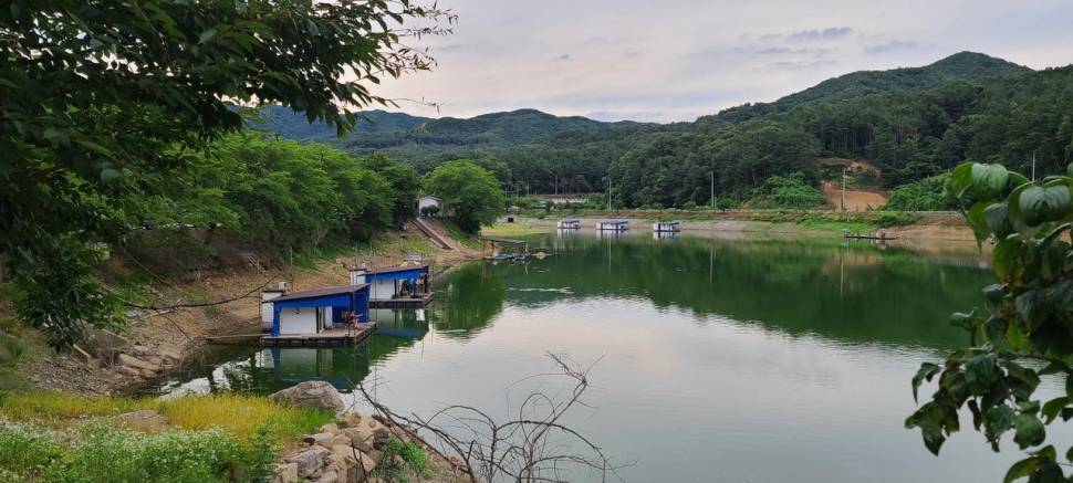 공주 고성낚시터 입니다 (유료터정보 - 유료터점주조황)