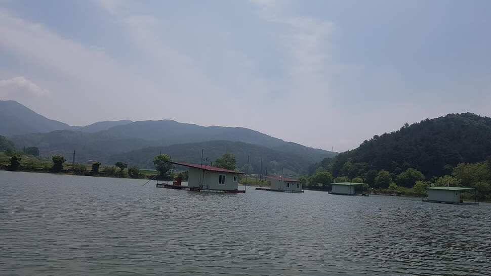 주중조황 (유료터정보 - 유료터점주조황)