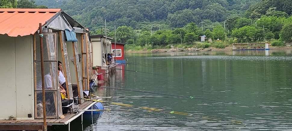 양평 지평 수곡낚시터 붕어100수 와 함게 조황이 꾸준합니다 (유료터정보 - 유료터점주조황)