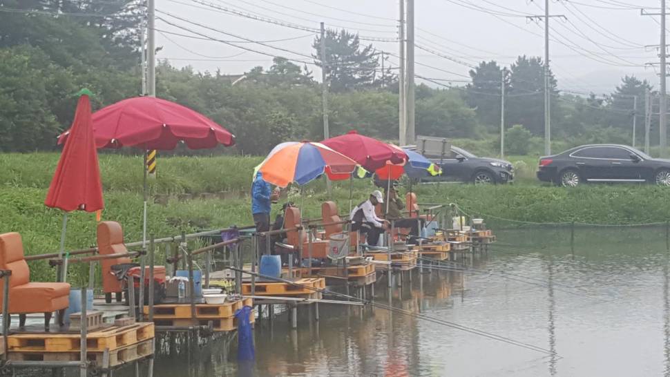 경주 동산낚시터붕어전용잡이터지난주 조황 (유료터정보 - 유료터점주조황)