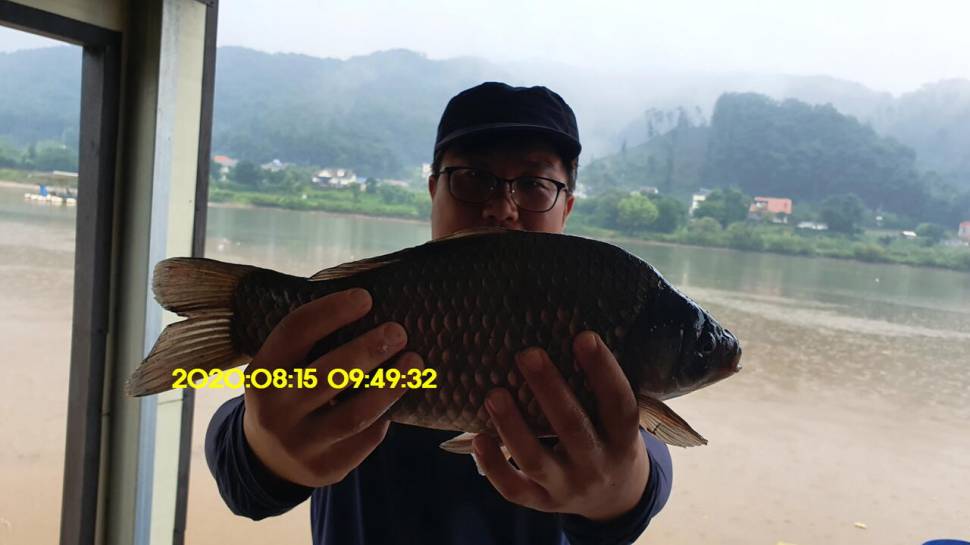 신원낚시터 8월16일 토종붕어 4짜와 덩어리 사진입니다 (유료터정보 - 유료터점주조황)