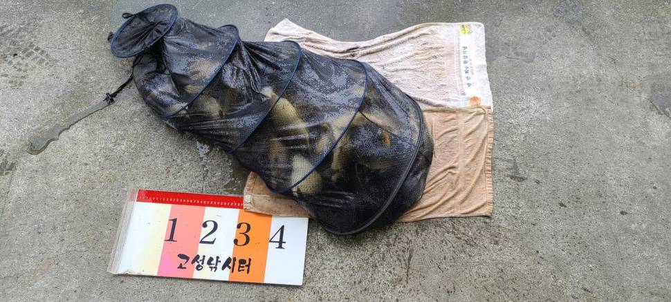 공주 고성낚시터 입니다 (유료터정보 - 유료터점주조황)