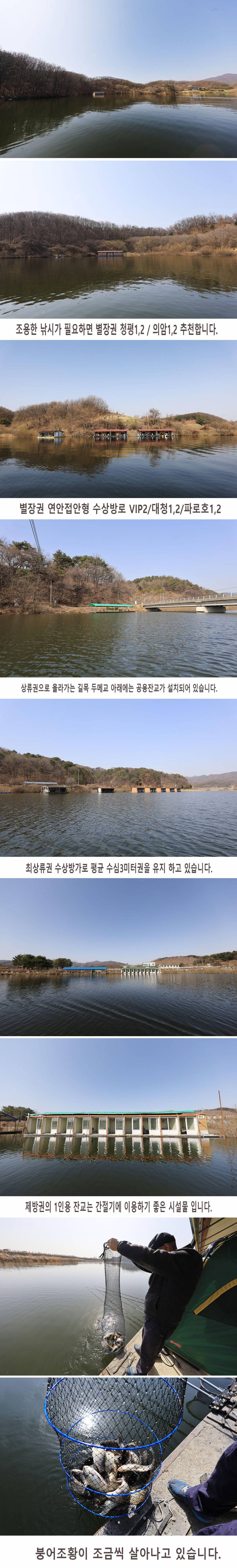 안성 두메낚시터 3월17일 조황안내 (유료터정보 - 유료터점주조황)
