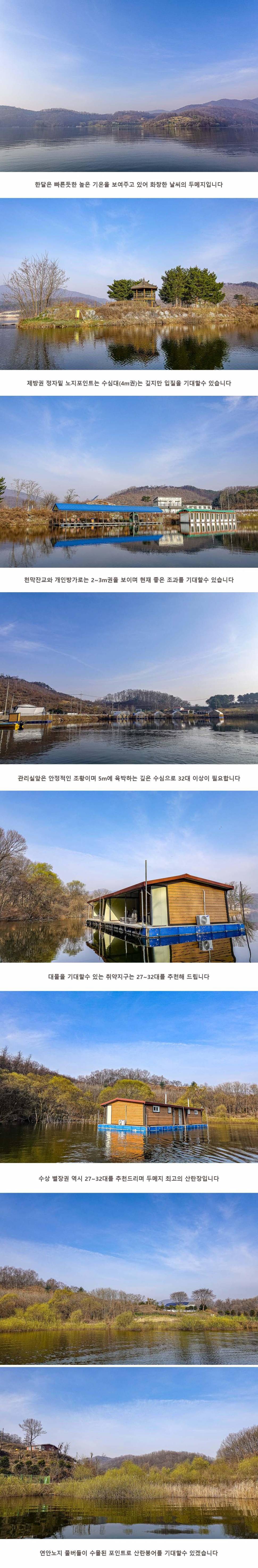 안성 두메낚시터 3월 26일 조황정보 (유료터정보 - 유료터점주조황)