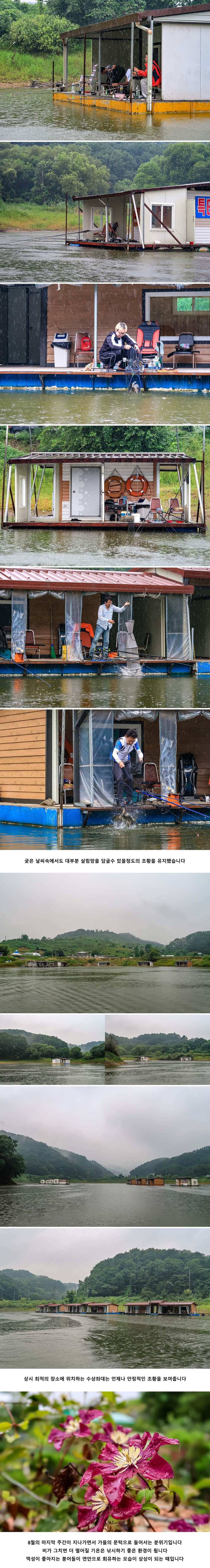 안성 두메낚시터 8월 27일 조황정보 (유료터정보 - 유료터점주조황)