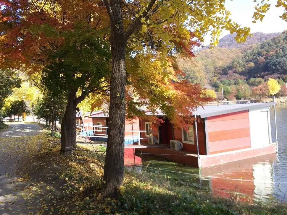 수곡낚시터 금일 자연산 토종붕어 초대량 방류 및 435 토종대물 포함 조황 소식 (유료터정보 - 유료터점주조황)
