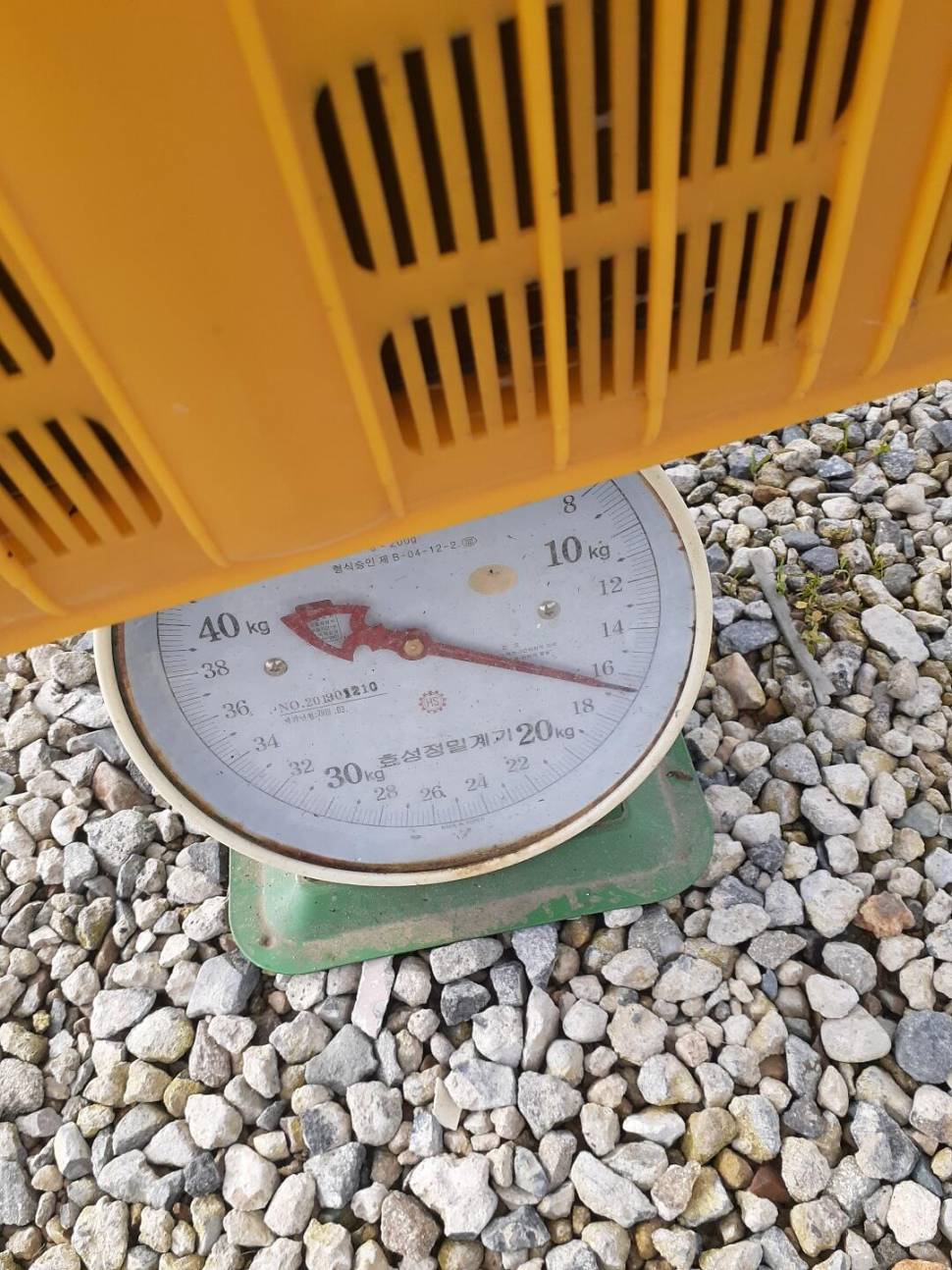 경주 동산낚시터붕어전용잡이터지난주 조황 (유료터정보 - 유료터점주조황)