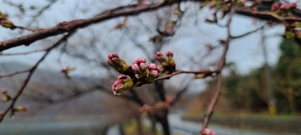 공주 고성낚시터 입니다 (유료터정보 - 유료터점주조황)
