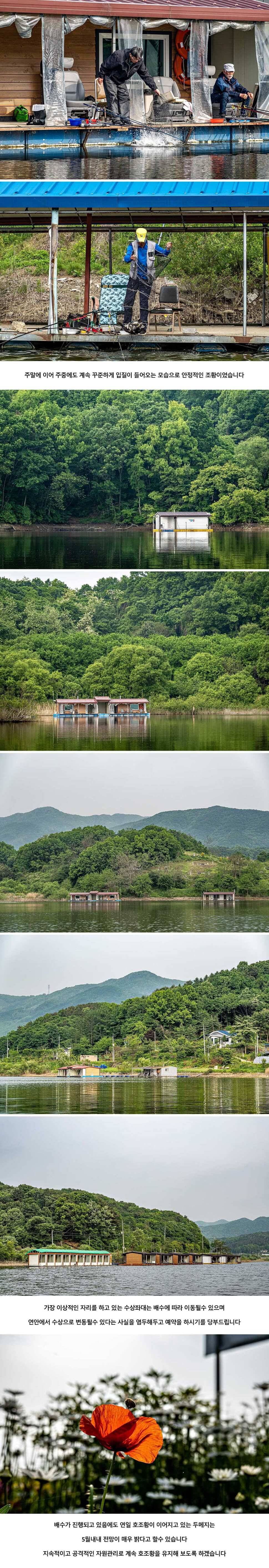 안성 두메낚시터 5월 18일 조황정보 (유료터정보 - 유료터점주조황)