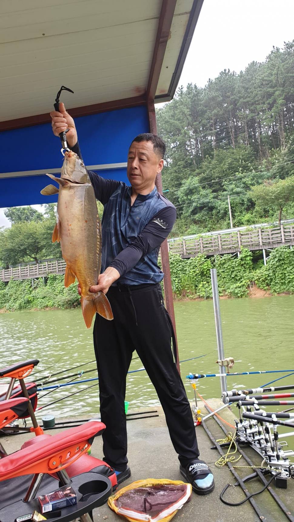 공주 고성낚시터 입니다 (유료터정보 - 유료터점주조황)