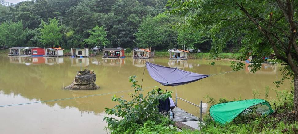 8월둘째주 주말 양평 수곡낚시터 조황 붕어방류 (유료터정보 - 유료터점주조황)