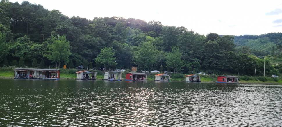 양평 여름 피서낚시 힐링 수곡낚시터 주말도 좋은조황 이어집니다 (유료터정보 - 유료터점주조황)