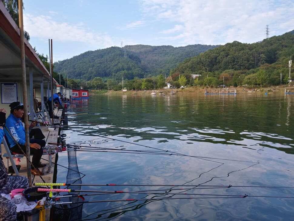 붕어낚시 양평 수곡낚시터 일요일 조황도 토요일과 비슷한 조황이었습니다 (유료터정보 - 유료터점주조황)