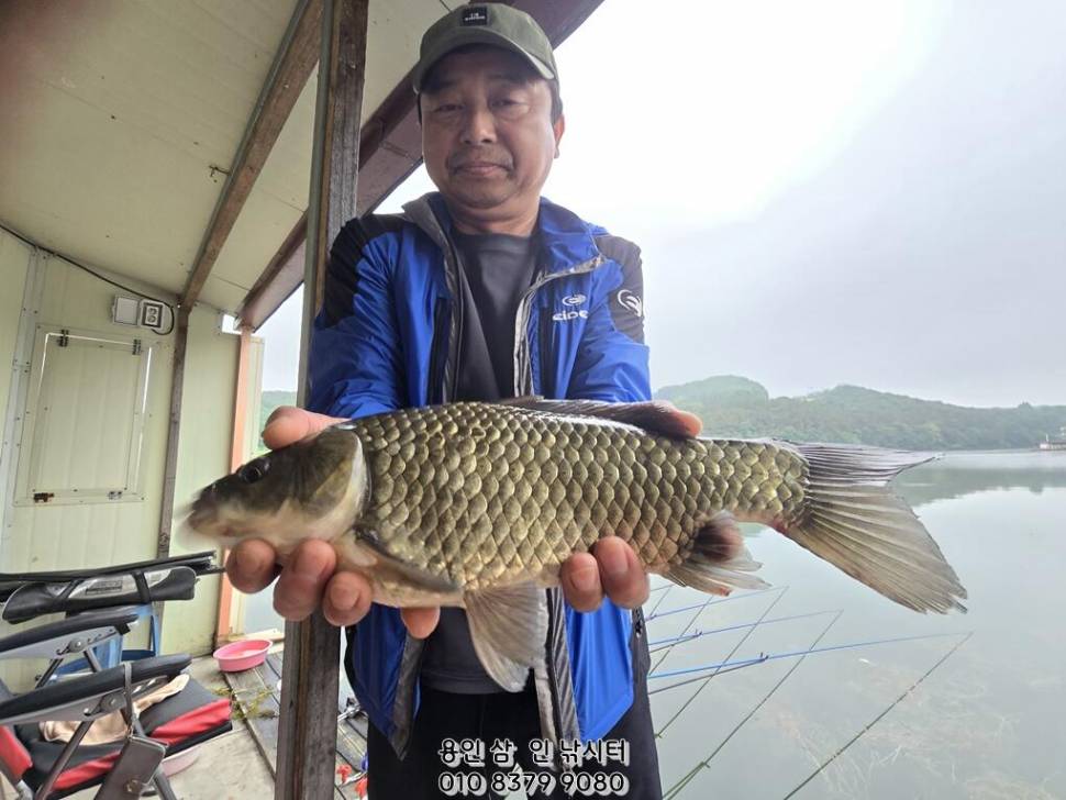 가깝고 물 좋고 경치 좋은 곳용인삼인낚시터 (유료터정보 - 유료터점주조황)