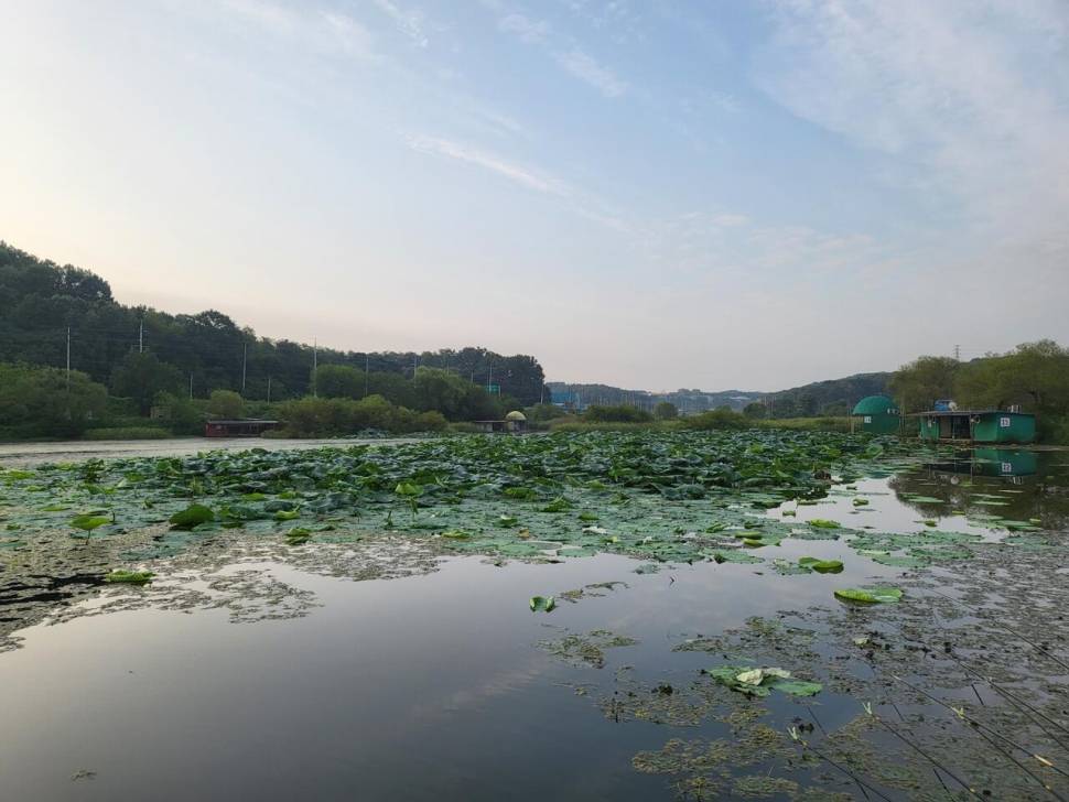 당진 가교리 낚시터 9월 12일 조황입니다 (유료터정보 - 유료터점주조황)