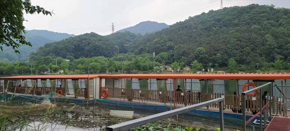 양평낚시터 힐링 수곡낚시터 고르고 꾸준한 조황입니다 (유료터정보 - 유료터점주조황)