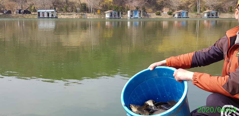 양평 수곡낚시터 4월 첫주 주말조황 및 수상좌대 할인요금 붕어방류 안내 (유료터정보 - 유료터점주조황)