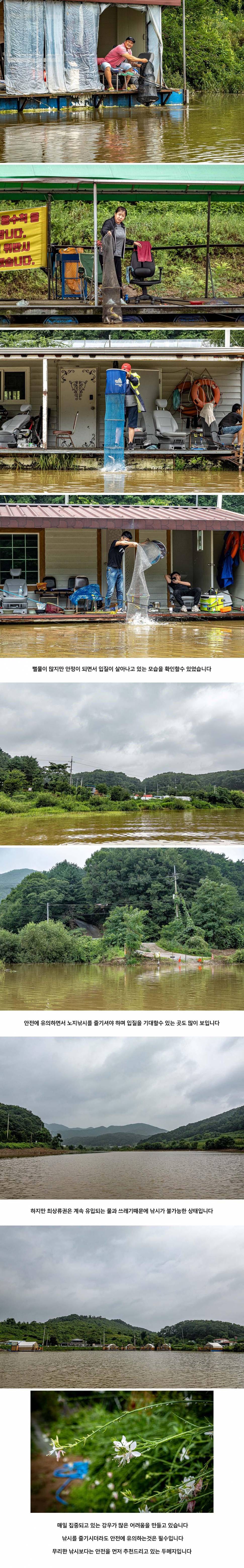 안성 두메낚시터 8월 4일 조황정보 (유료터정보 - 유료터점주조황)