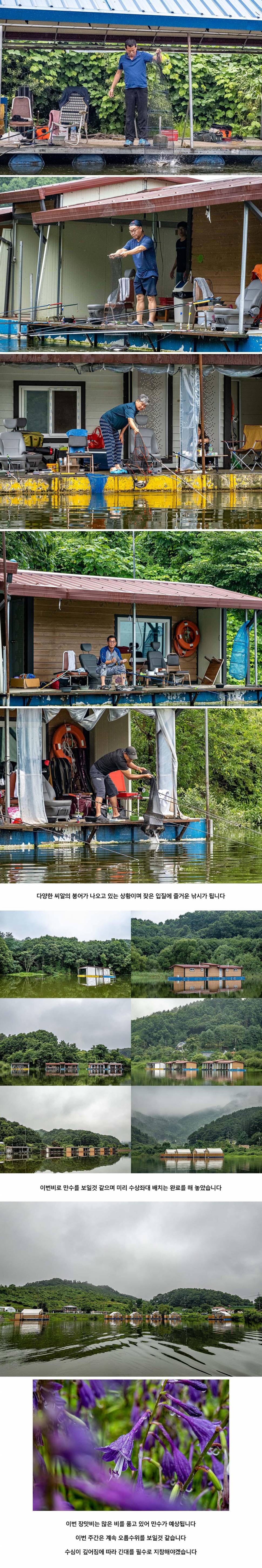안성 두메낚시터 7월 29일 조황정보 (유료터정보 - 유료터점주조황)