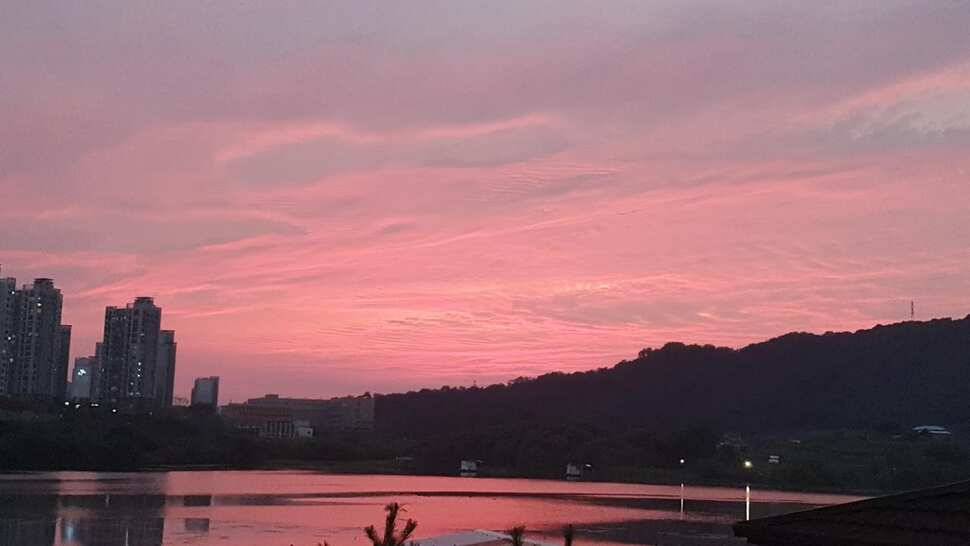 아산 명품 월랑낚시터 9월 첫번째 조황이야기입니다 (유료터정보 - 유료터점주조황)