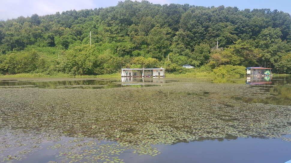 당진 가교리 낚시터 9월 5일 조황입니다 (유료터정보 - 유료터점주조황)