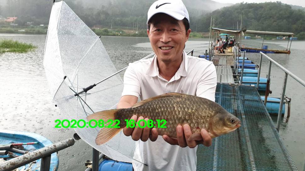 신원낚시터 8월27일 토종붕어 45짜리와 덩어리들 사진입니다 (유료터정보 - 유료터점주조황)