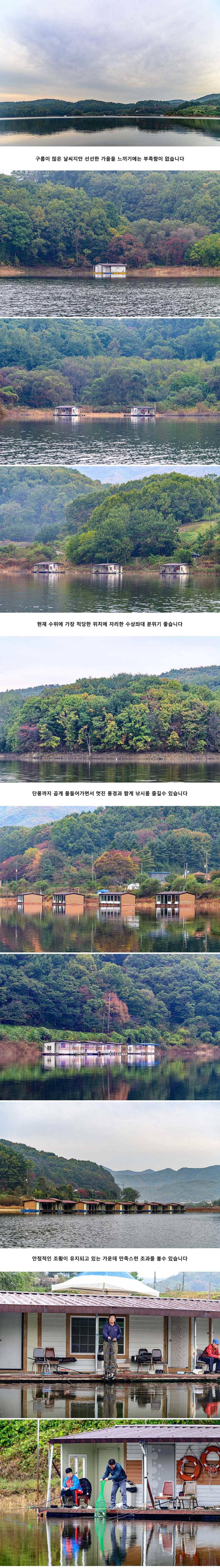 안성 두메낚시터 10월 23일 조황정보 (유료터정보 - 유료터점주조황)