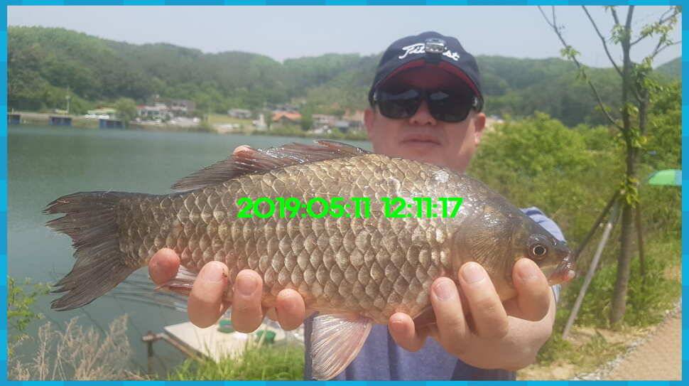 신원낚시터 토종대물 4짜 소식 식상허쥬 사진만 올립니다 (유료터정보 - 유료터점주조황)
