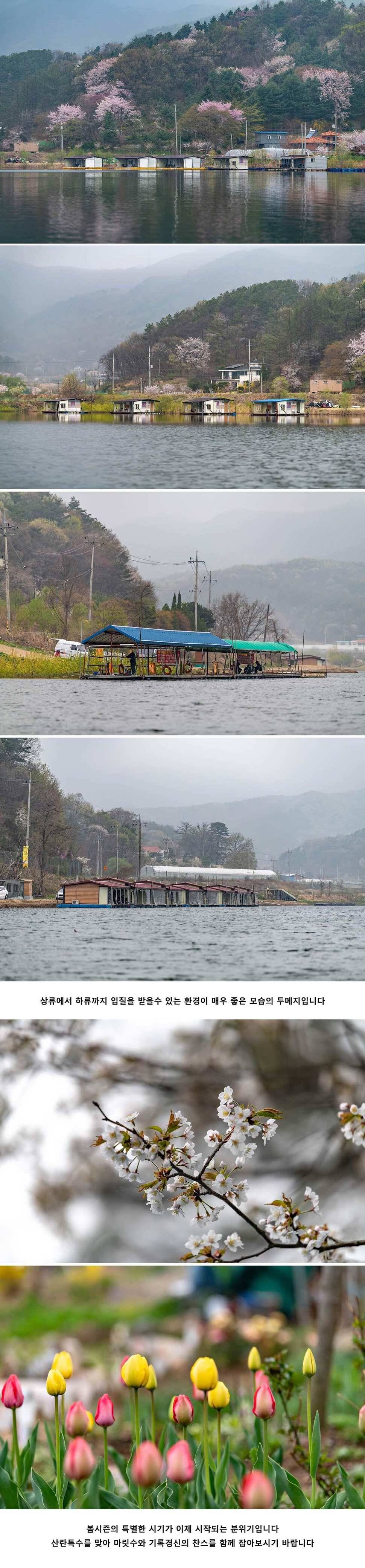 안성 두메낚시터 4월 19일 조황정보 (유료터정보 - 유료터점주조황)