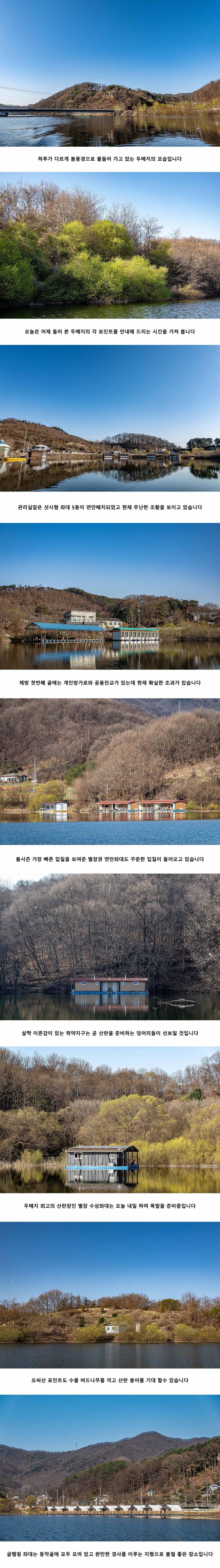 안성 두메낚시터 4월 3일 조황정보 (유료터정보 - 유료터점주조황)