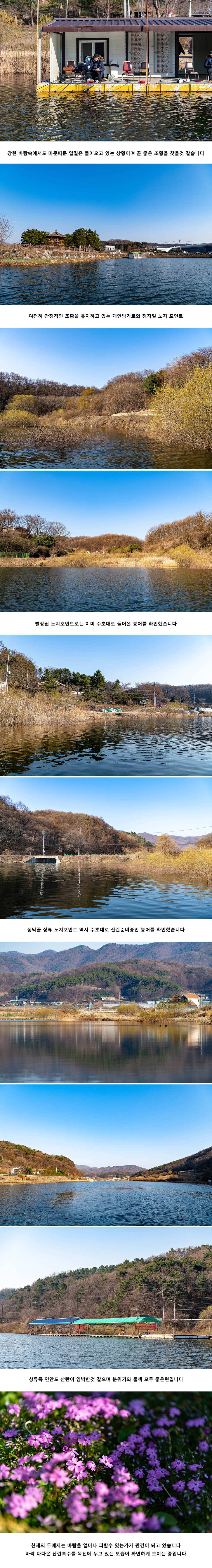 안성 두메낚시터 4월 4일 조황정보 (유료터정보 - 유료터점주조황)