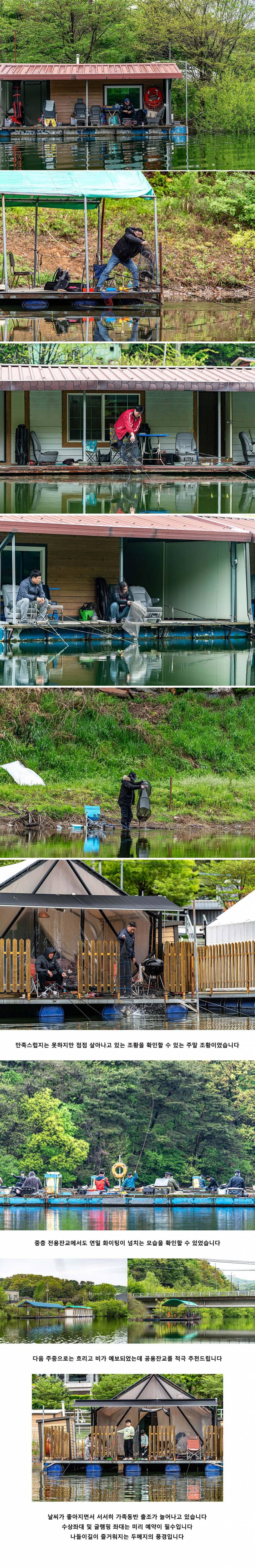 안성 두메낚시터 4월 21일 조황정보 (유료터정보 - 유료터점주조황)