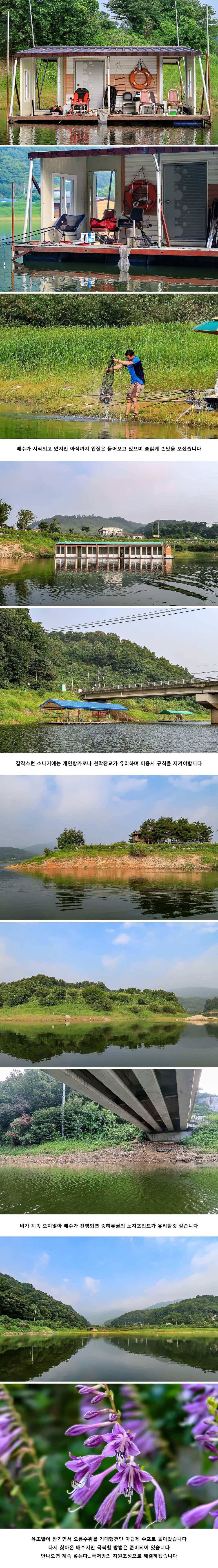 안성 두메낚시터 8월 8일 조황정보 (유료터정보 - 유료터점주조황)
