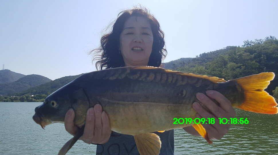 신원낚시터 9월23일 토종대물 덩어리와 4짜가 마릿수로 (유료터정보 - 유료터점주조황)