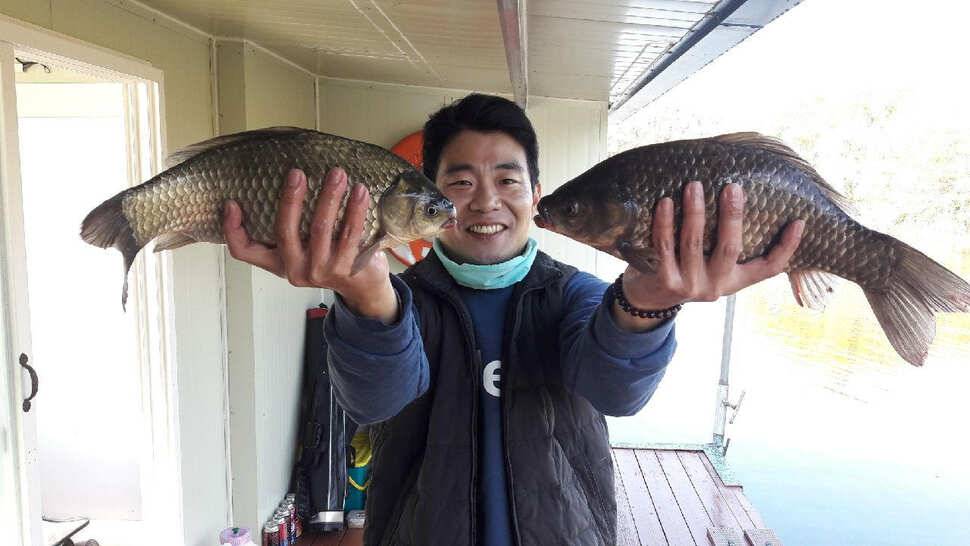 송전지 창신좌대 조항 (유료터정보 - 유료터점주조황)