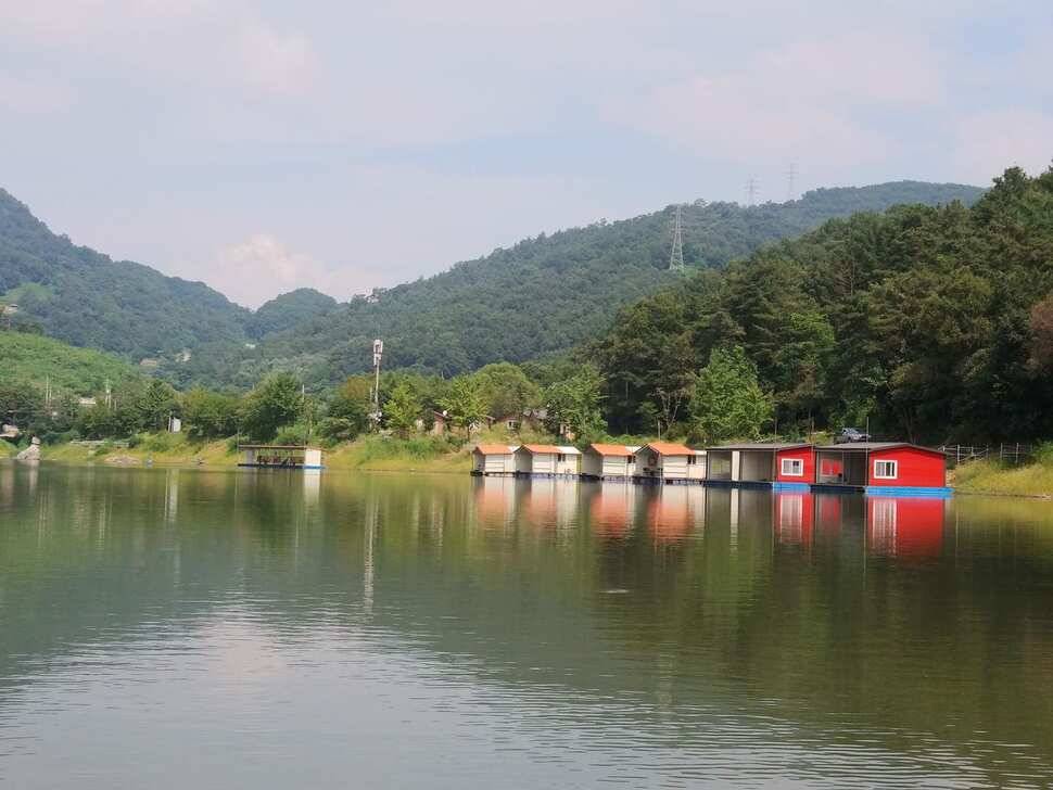 수곡낚시터 주중 조황 꾸준하며 오늘 대박 조황도 나와주었습니다 (유료터정보 - 유료터점주조황)