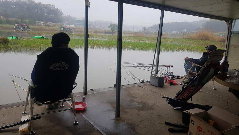 당진 가교리낚시터 4월 25일 토종붕어 조황 (유료터정보 - 유료터점주조황)