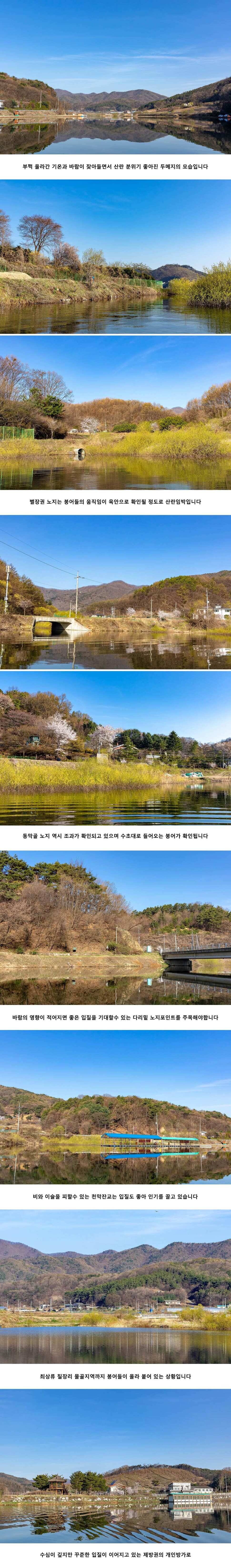 안성 두메낚시터 4월 16일 조황정보 (유료터정보 - 유료터점주조황)