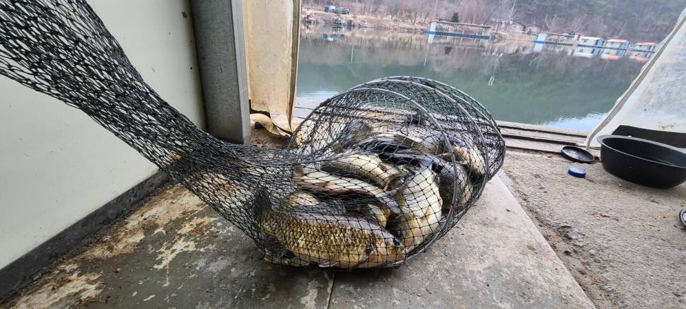 설명절 연휴 힐링 수곡낚시터 조황 및 붕어 방류 안내 (유료터정보 - 유료터점주조황)