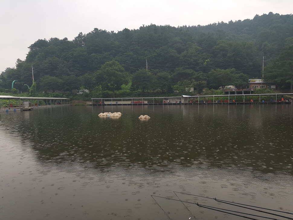 7월22일 조황 및 붕어방류소식 (유료터정보 - 유료터점주조황)
