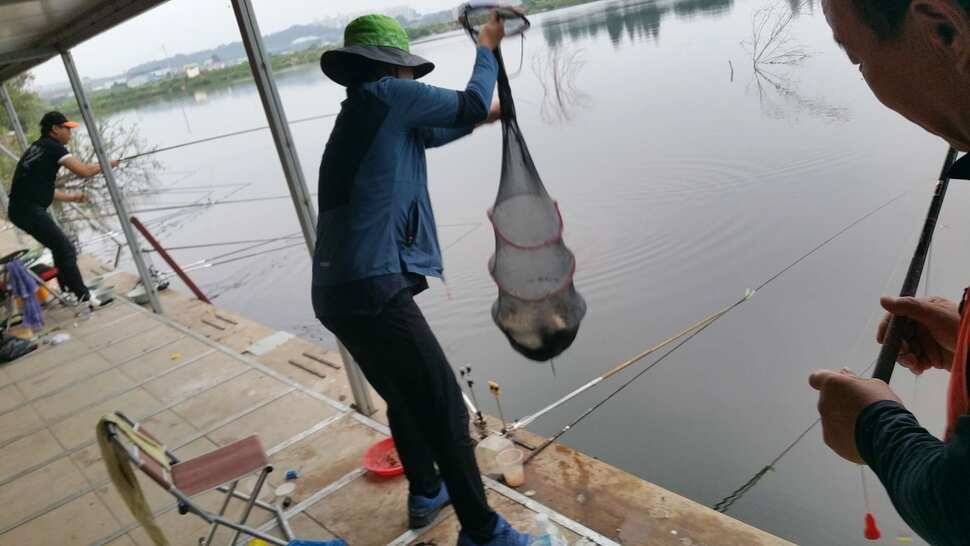 천안 석곡낚시터입니다 (유료터정보 - 유료터점주조황)