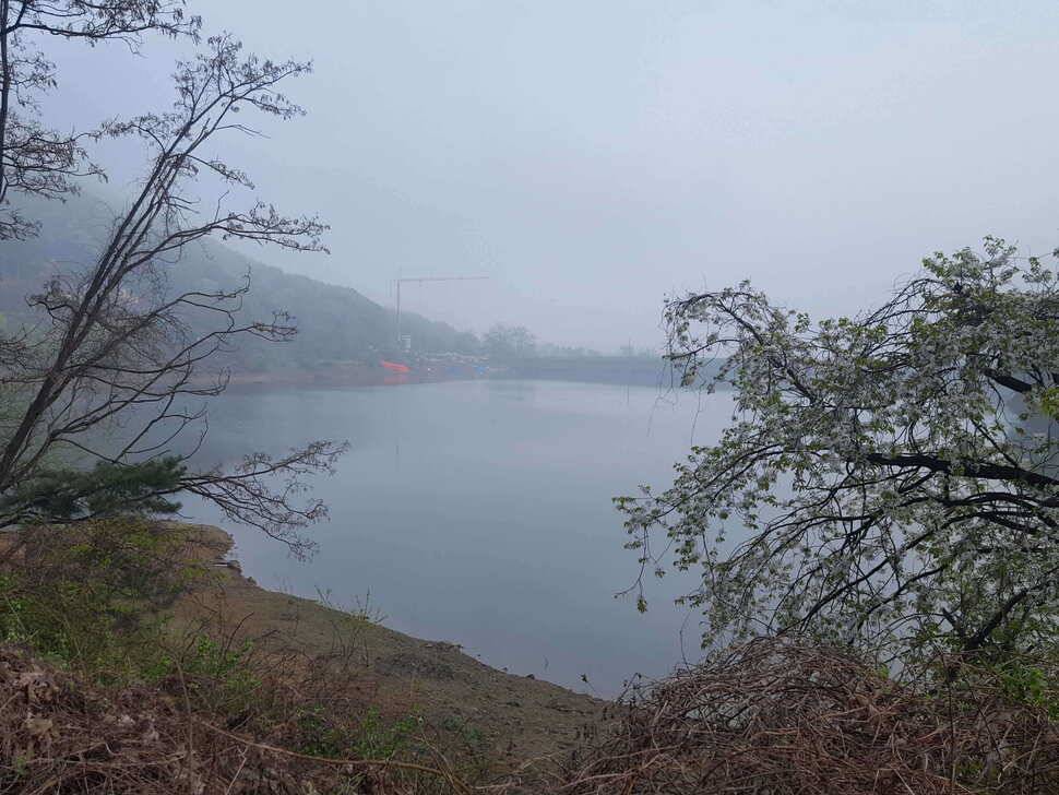 안성장계지 (유료터정보 - 유료터점주조황)