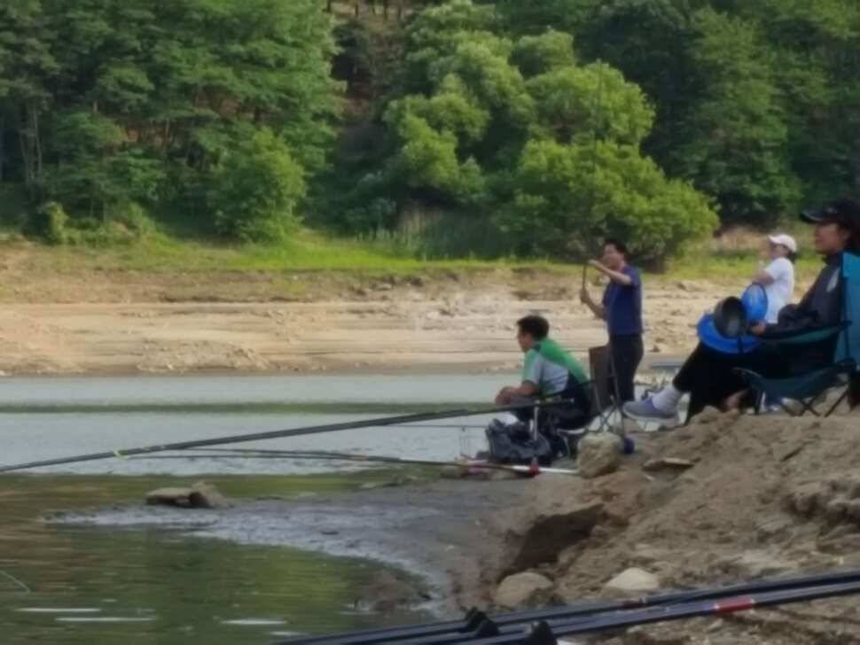 안성장계지주말조항입니다 (유료터정보 - 유료터점주조황)