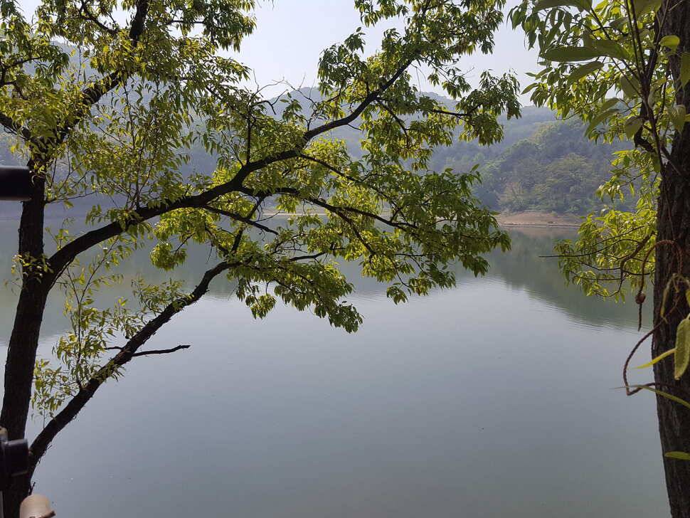 안성죽산장계지주중조항입니다 (유료터정보 - 유료터점주조황)