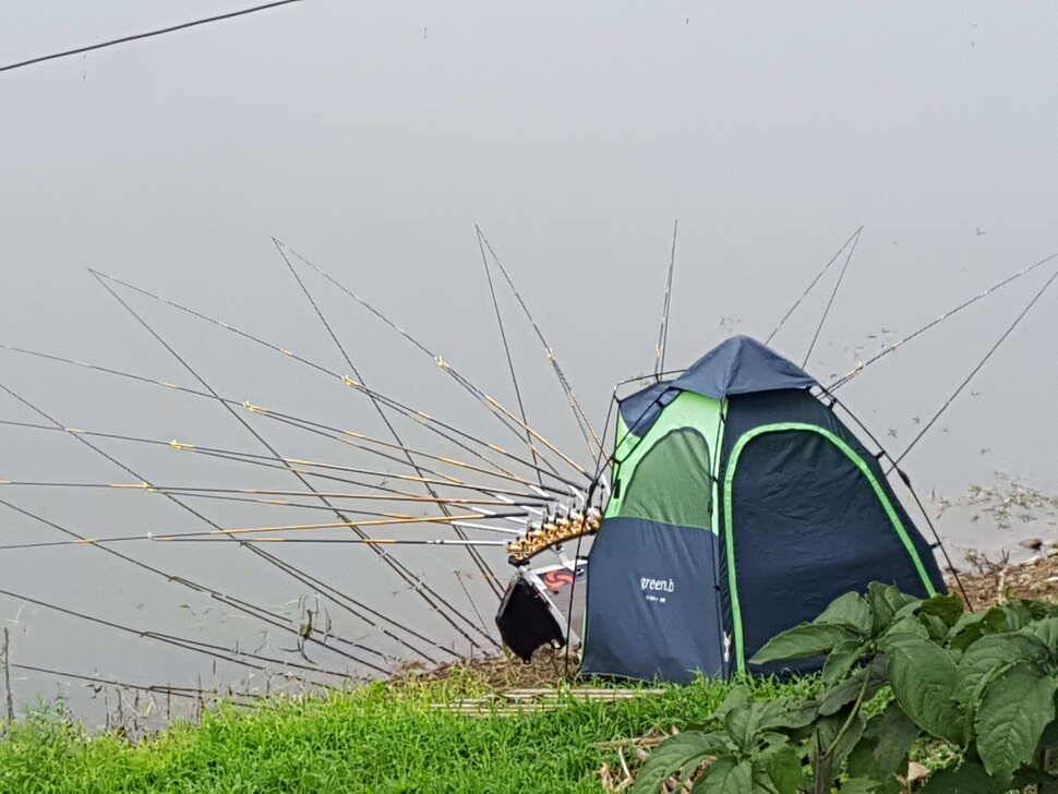 안성죽산장계지조항전경입니다 (유료터정보 - 유료터점주조황)