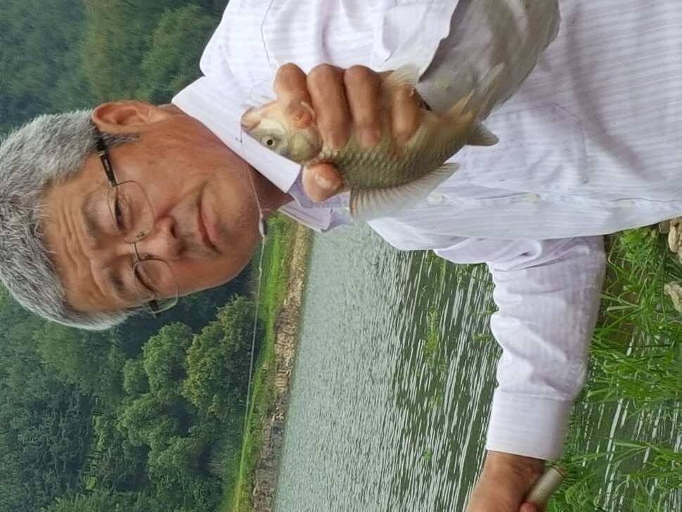 안성장계지 (유료터정보 - 유료터점주조황)