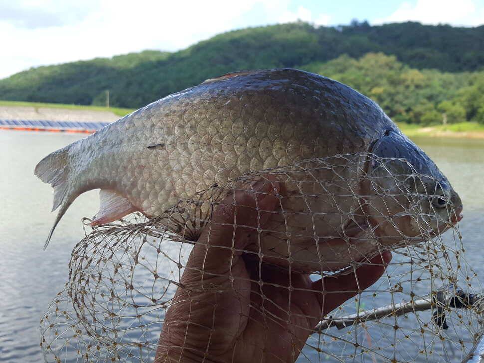 장계지조항전경입니다 (유료터정보 - 유료터점주조황)