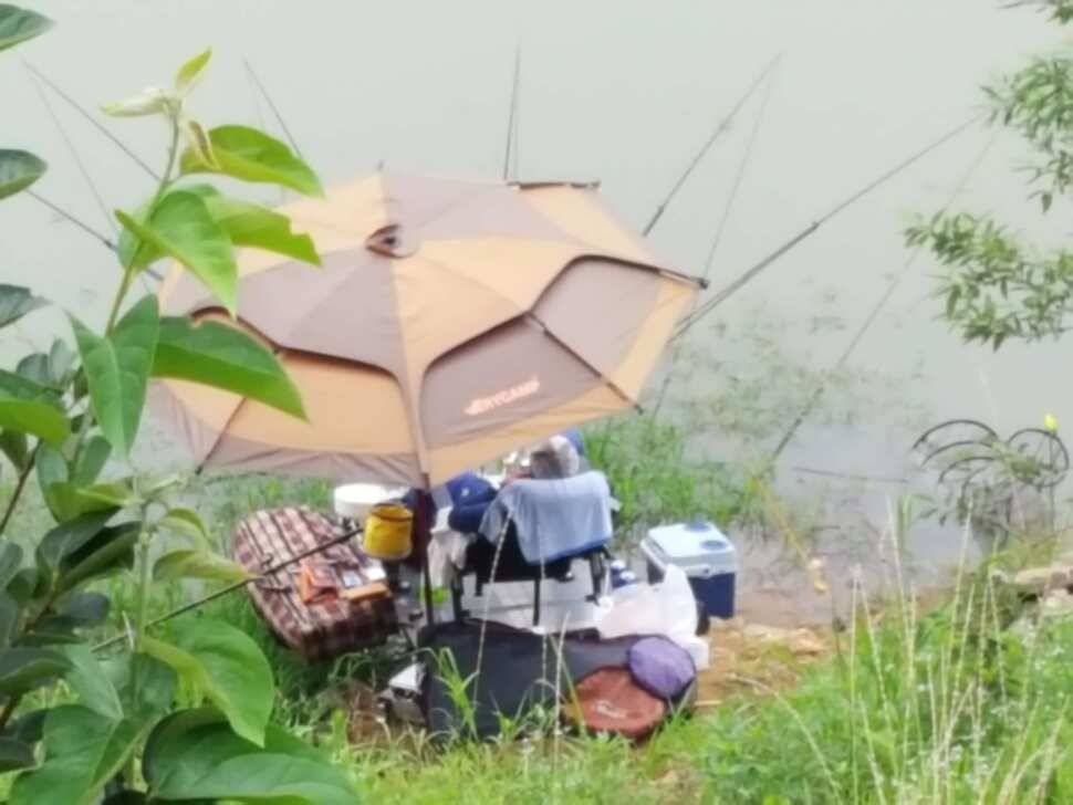 장계지조항전경입니다 (유료터정보 - 유료터점주조황)