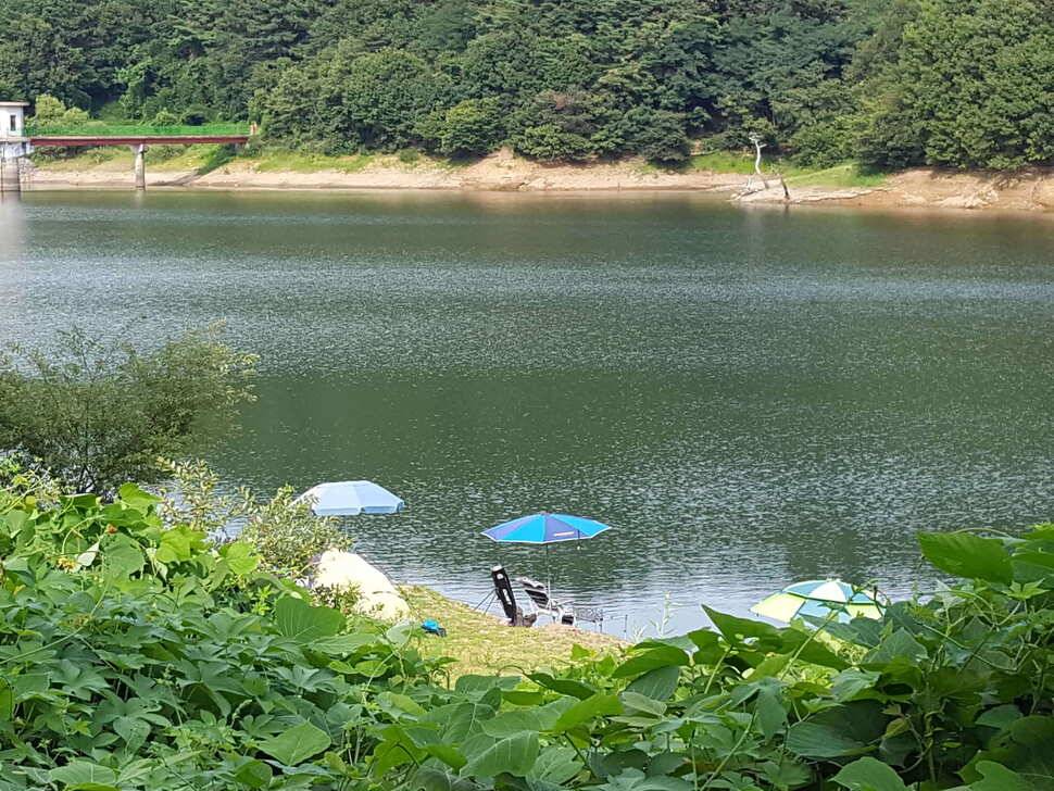 유료터정보 > 유료터점주조황 > 안성죽산장계지조항